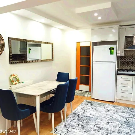 Orbital Travel House 1