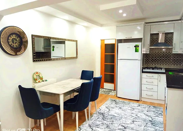 Orbital Travel House 1