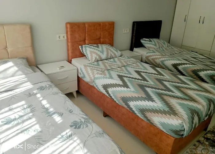 Orbital Travel House 1 *